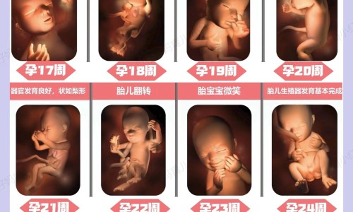 乙肝患者可以吃茄子吗-远大医药新生化颗粒网 :分享电线为什么是两根-月经期喝冰的会怎样知识